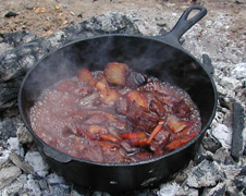 Venison Stew