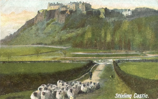 Kings Knot, A Herd of Sheep, Stirling Castle