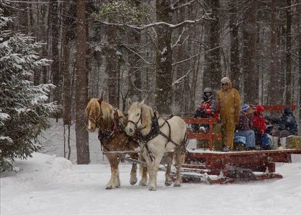 Happy Holidays From Clan Stirling Online - 2009
