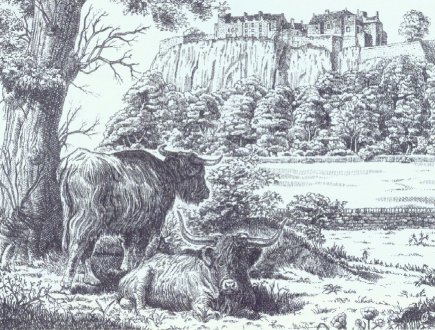 Stirling Castle.