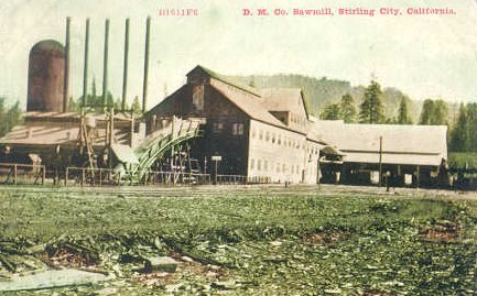 D.M. Co. Sawmill, Stirling, California ~ 1912